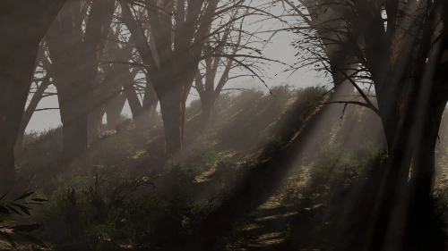 3D Scene Environment